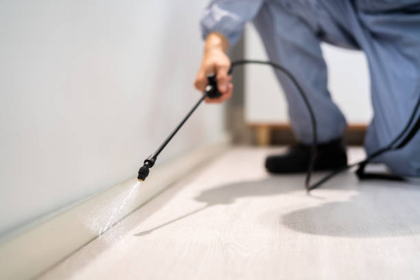 Licensed Mosquito Control service in Lebanon, VA - Show Me Pest Control