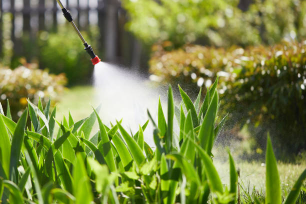 24/7 Emergency Mosquito Control experts in Lebanon, VA