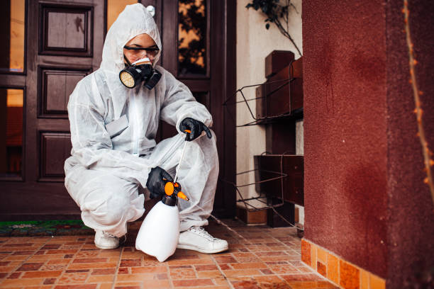 Reliable Mosquito Control contractor in Lebanon, VA by Show Me Pest Control