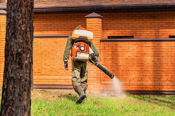 Top rated local Mosquito Control specialists in Lebanon, VA
